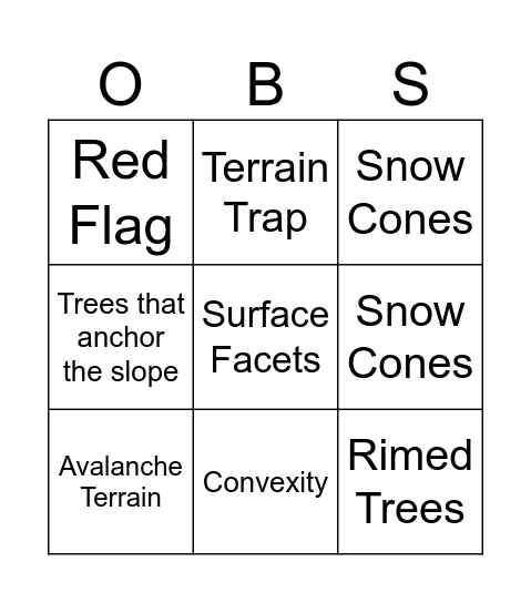 Snow and Weather Obs Bingo Card