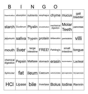 Digestive System Bingo Card