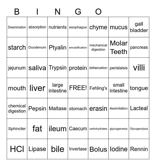 Digestive System Bingo Card