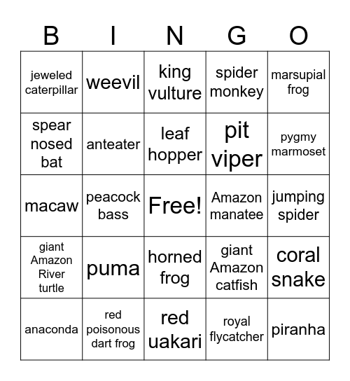 Animals of the Amazon Rainforest Bingo Card