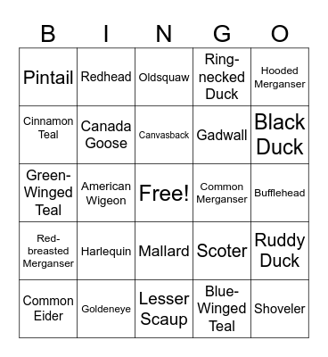 Waterfowl Bingo Card