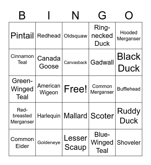Waterfowl Bingo Card