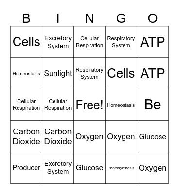 Unit 5 Bingo Card