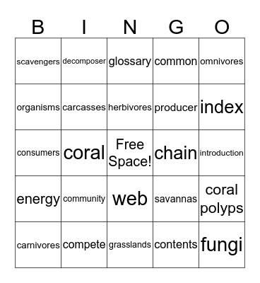 Food Chains and Webs Bingo Card