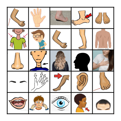 Body Parts Bingo Card