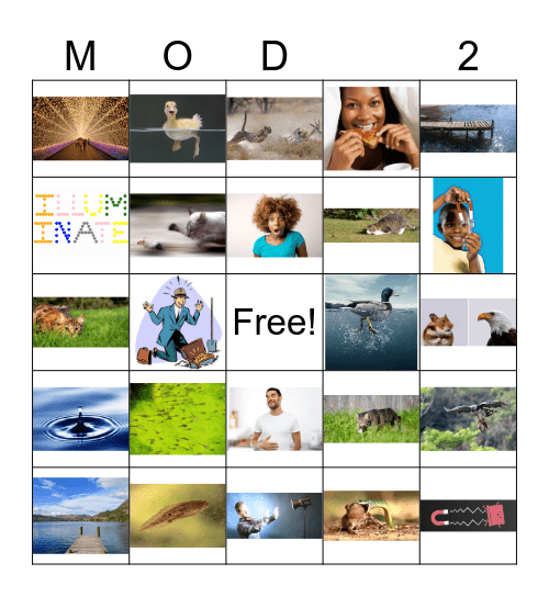 3rd Grade Module 2 Bingo Card