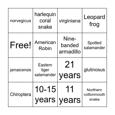 Non-Game Animal Bingo Card