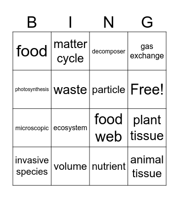 Unit 2 Vocabulary Bingo Card