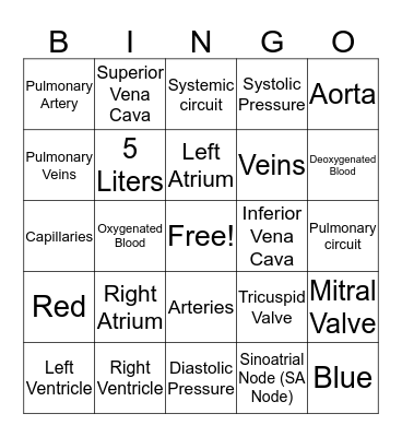 Heart and Circulatory System Bingo Card