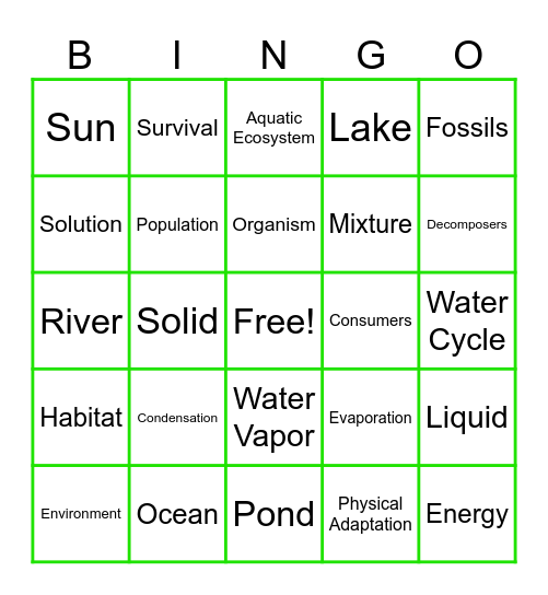 Science Vocabulary Review Bingo Card