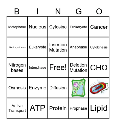 Biology Fall Final Review Bingo Card