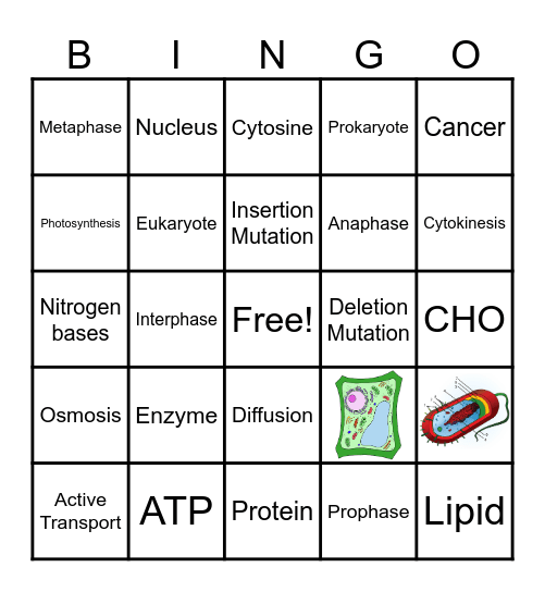 Biology Fall Final Review Bingo Card