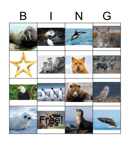 ALASKAN  ANIMALS Bingo Card