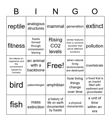 7th Grade Earth History Unit! Bingo Card