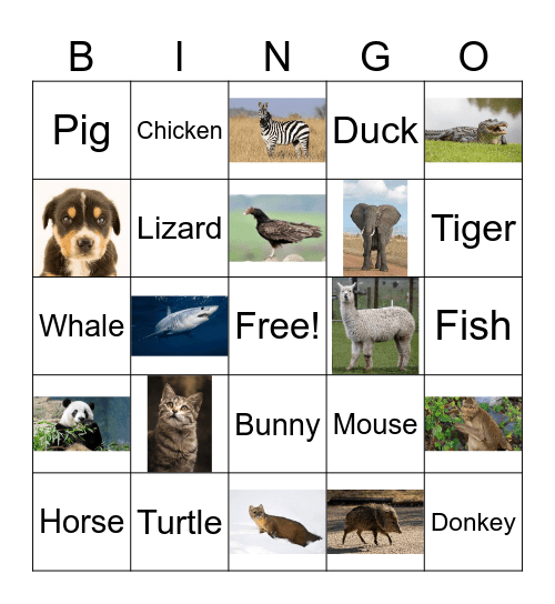 Animals by Hannah Davis Bingo Card