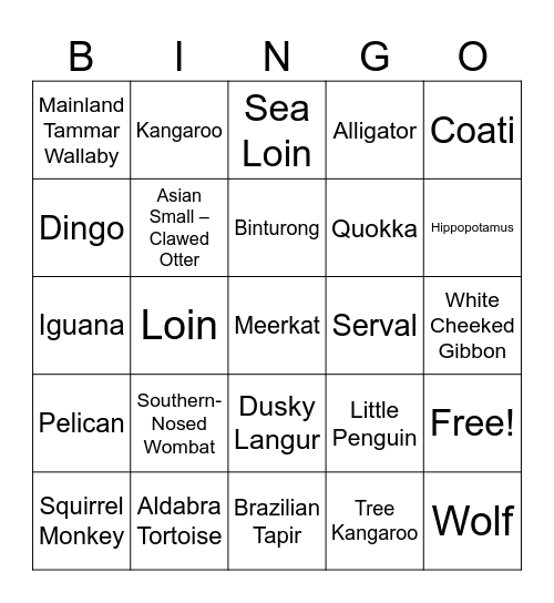 Adelaide Zoo Bingo Card