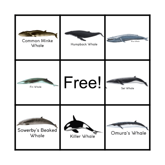 WHALES Bingo Card