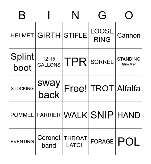 Pony Club Bingo Card