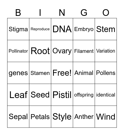 Flowering Plants Bingo Card