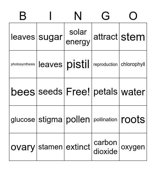 4.2 Plant and Animal Structure Bingo Card