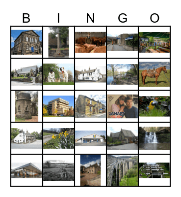 Bingley Bingo Card