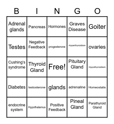 Endocrine System Bingo Card