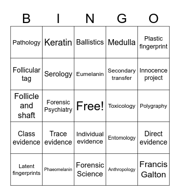 Semester Exam Game 1 2024 Bingo Card