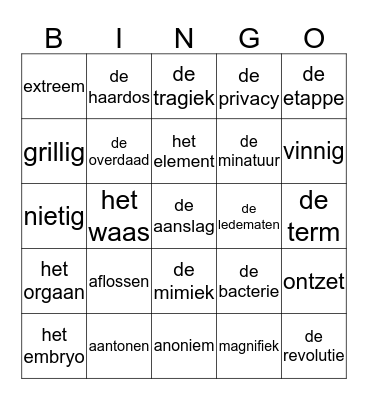 Woordenschat bingo E8 Bingo Card