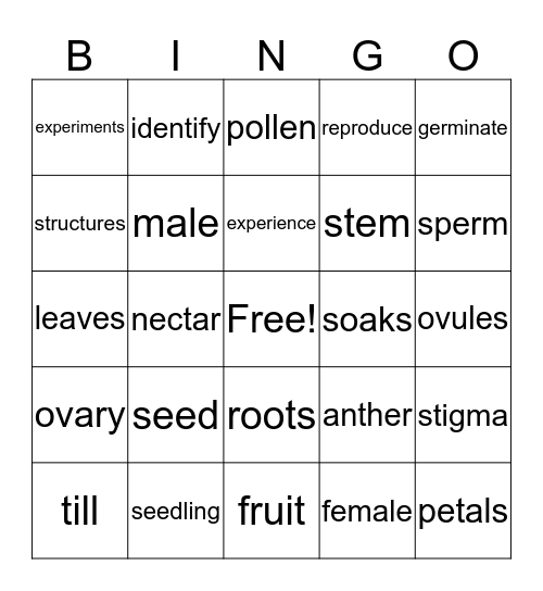 Sexual Reproduction in Plants Bingo Card