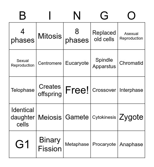 Mitosis and Meiosis Bingo Card