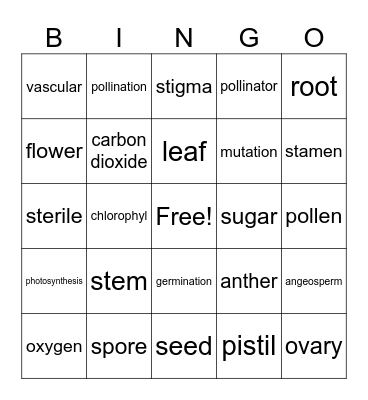 Science Bingo Card