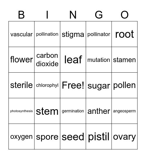 Science Bingo Card