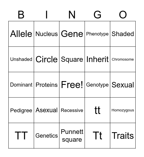 Genetics Bingo Card Bingo Card