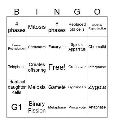 Mitosis and Meiosis Bingo Card