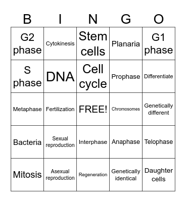 CELL REPRODUCTION Bingo Card