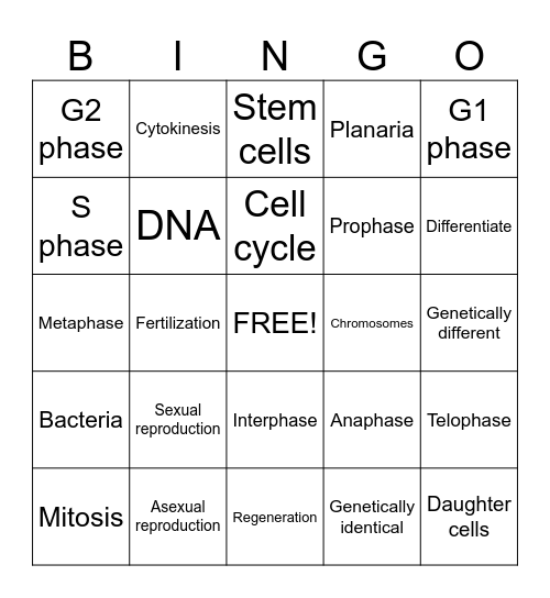 CELL REPRODUCTION Bingo Card