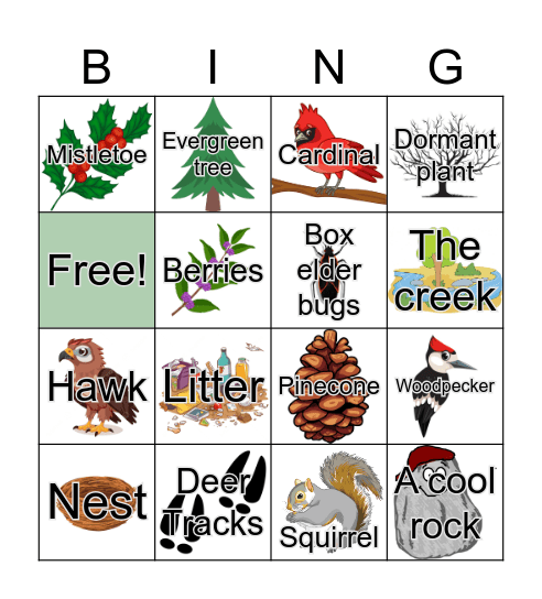 Winter Solstice Bingo Card