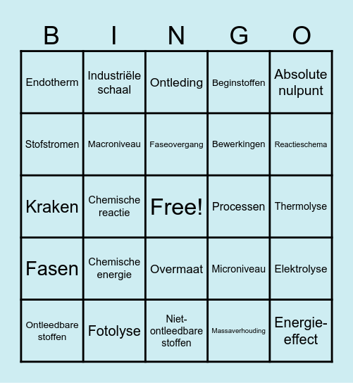 Begrippen BINGO Card