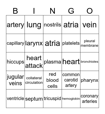 circulatory / respiratory Bingo Card