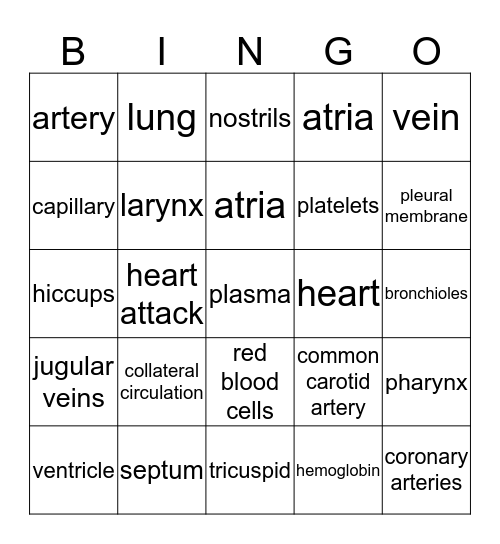 circulatory / respiratory Bingo Card