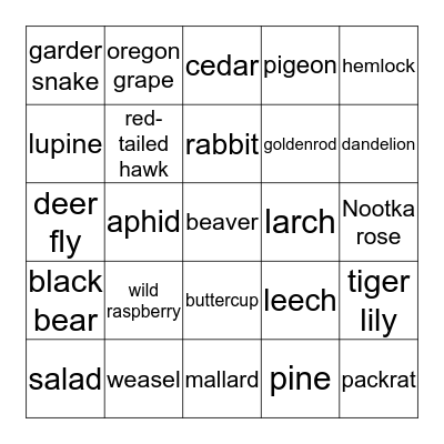 Nature Bingo Card