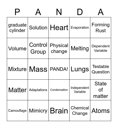 Science Fun! Bingo Card