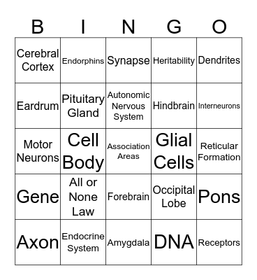 Keghan's Psychobio Bingo 2 Bingo Card