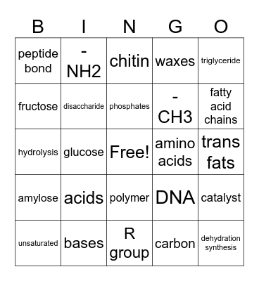 Biochemistry Bingo Card