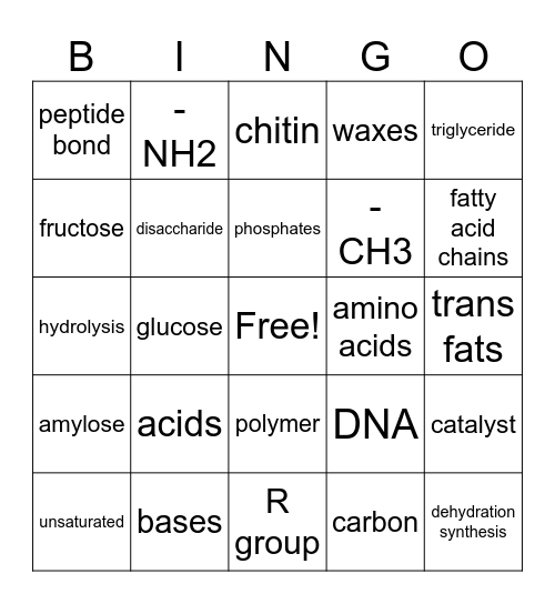 Biochemistry Bingo Card