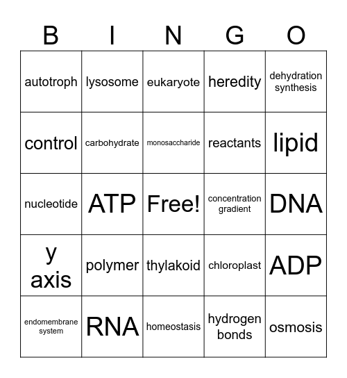 L2 Unit 1-4 Bingo Card