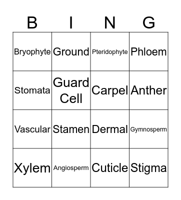 Plant Vocabulary Bingo Card