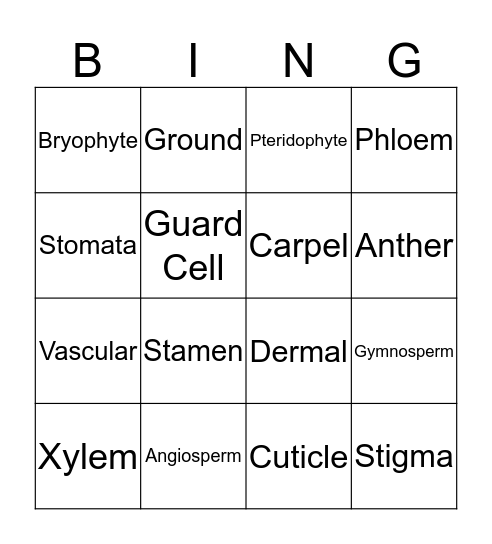 Plant Vocabulary Bingo Card