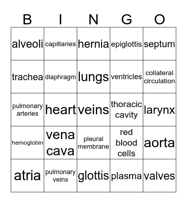 circulatory / respiratory Bingo Card