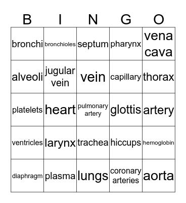 circulatory / respiratory Bingo Card